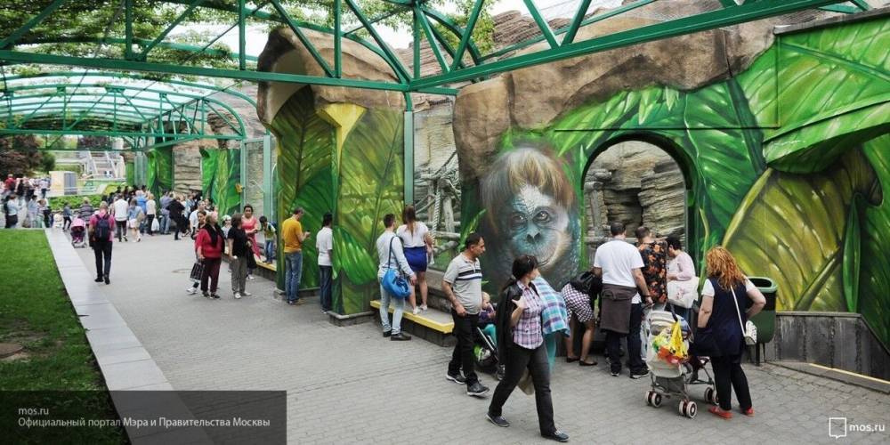 Обитатели московского зоопарка скучают по посетителям на карантине