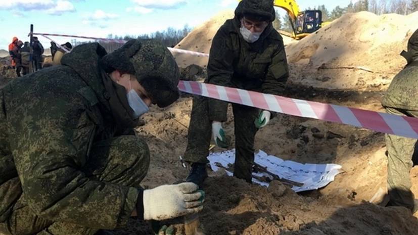 В Ленобласти нашли останки 75 красноармейцев