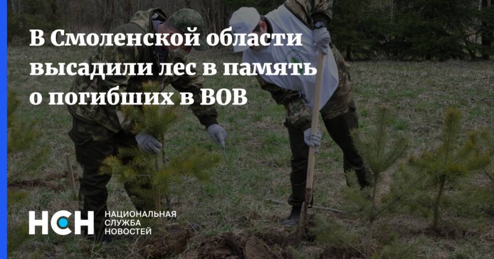 В Смоленской области высадили лес в память о погибших в ВОВ