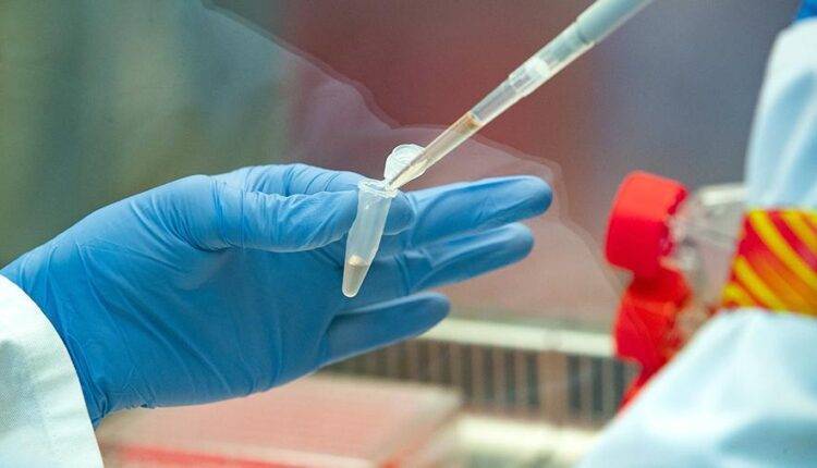 Результаты испытаний вакцины от коронавируса появятся не ранее середины лета