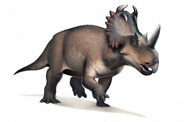 Род динозавров назвали в честь песни Дэвида Боуи