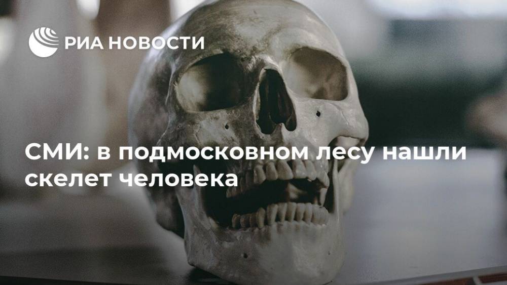 СМИ: в подмосковном лесу нашли скелет человека