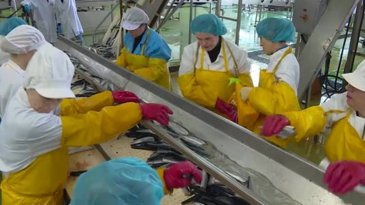 Консервы - будут! Производство рыбных продуктов на Сахалине не пострадало от карантина