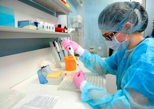 Жители Праги смогут бесплатно сдать анализ на коронавирус