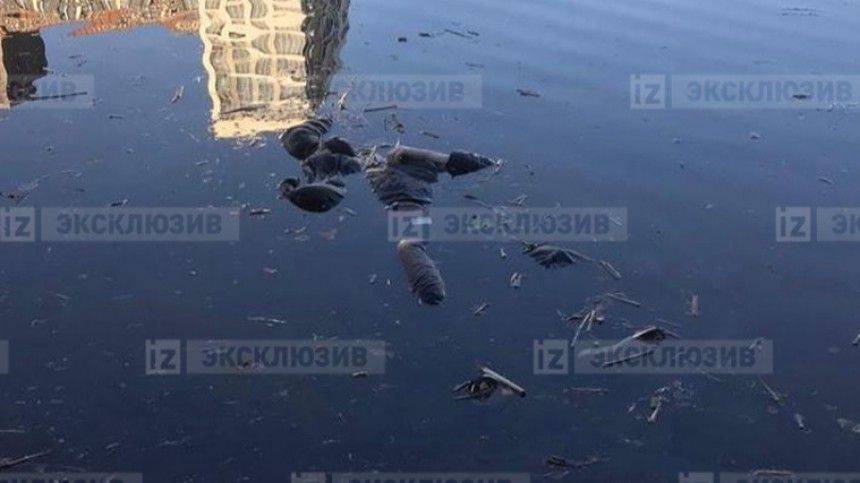 Стали известны подробности обнаружения тел двух мужчин в Москве-реке