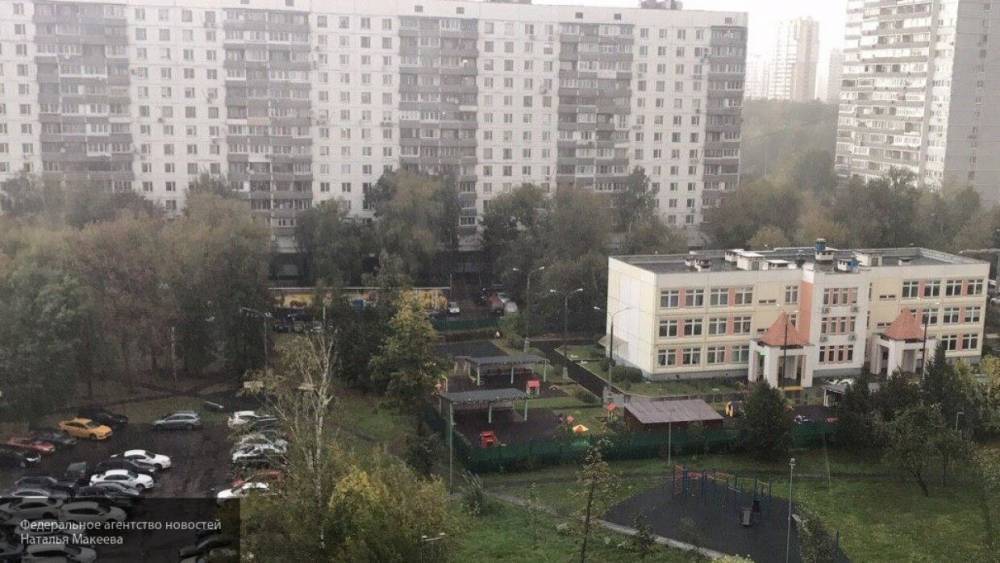 "Желтый" уровень погодной опасности объявили в Москве из-за сильного ветра