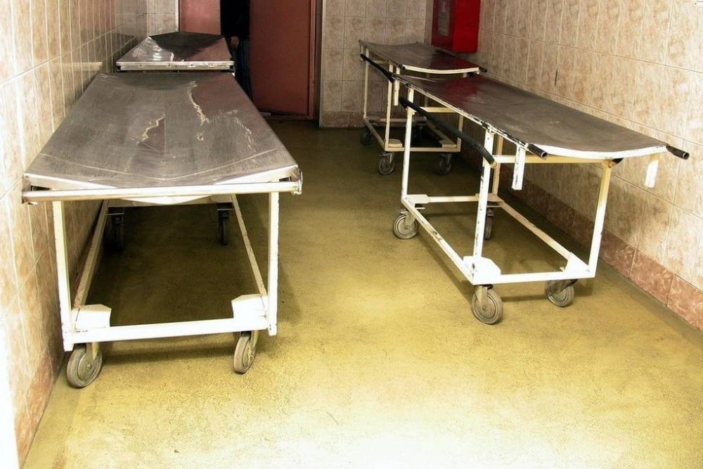 Возле больниц Петербурга установили рефрижераторы для хранения тел