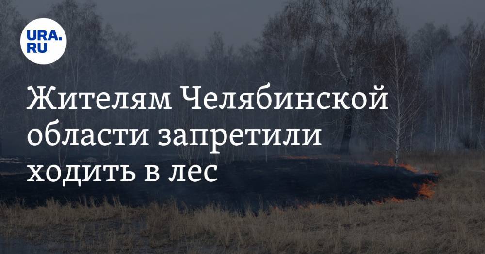 Жителям Челябинской области запретили ходить в лес