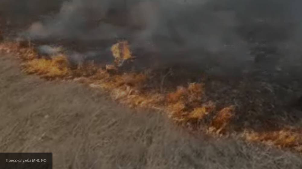Жители Челябинской области будут платить штраф за разжигания костра в лесу