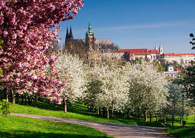 Прошедший май в Чехии оказался самым теплым за последние 58 лет