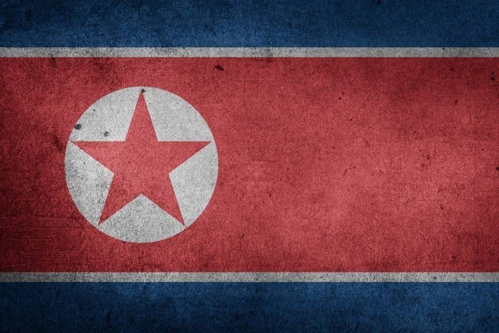 В Госдуме не подтвердили данные о смерти Ким Чен Ына