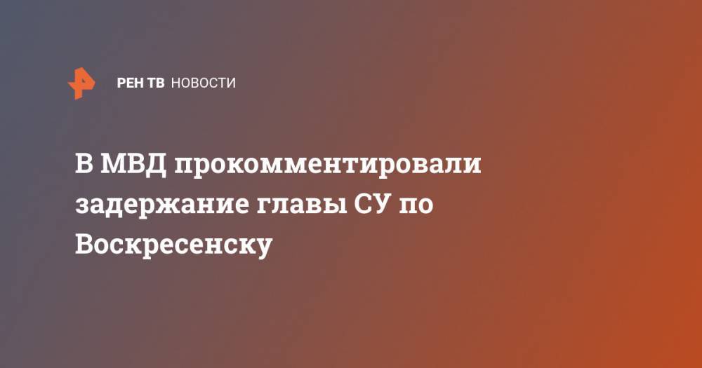 В МВД прокомментировали задержание главы СУ по Воскресенску