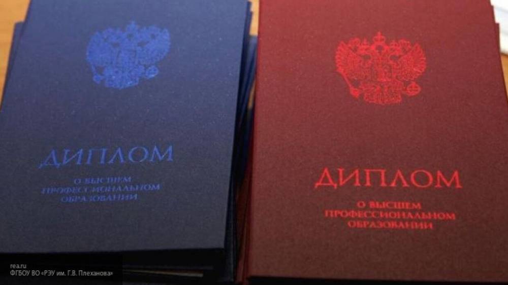 Депутат Морозов предложил обязать экскурсоводов получать высшее образование