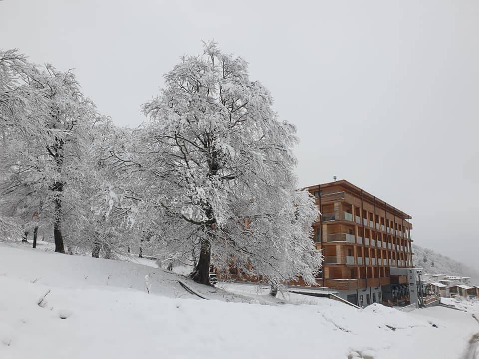 В Бакуриани сегодня выпал снег. ФОТО. ВИДЕО.