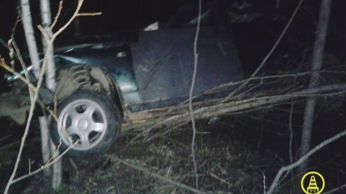 В ДТП с лосем в Ленобласти погиб водитель