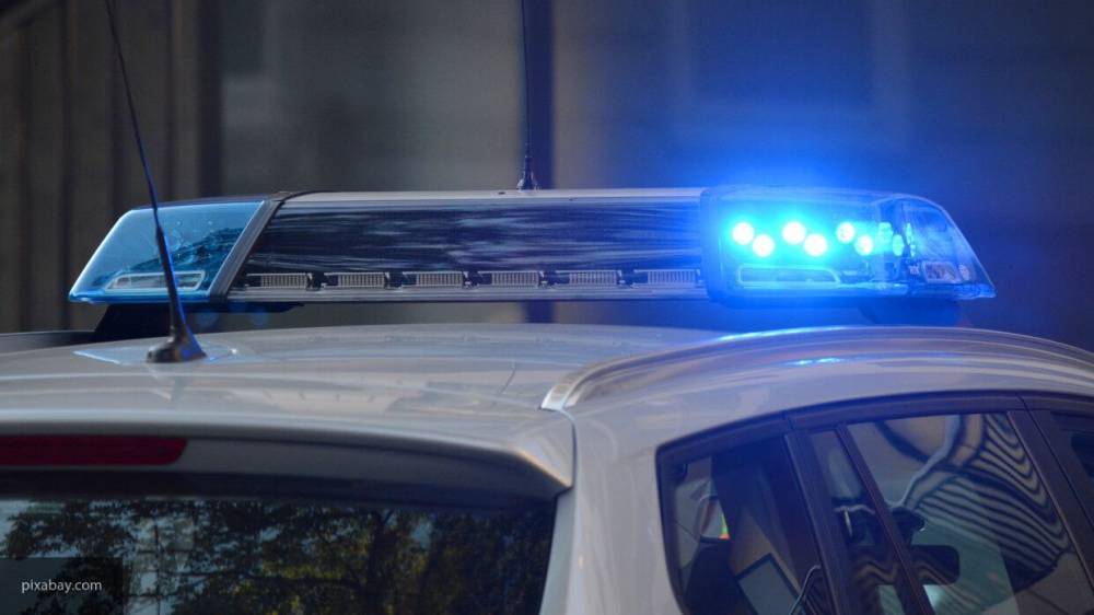 Полицейские задержали водителя, сбившего насмерть 13-летнюю девочку в Подмосковье