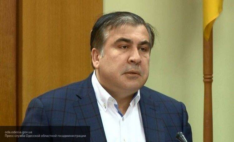Председатель парламента Грузии раскритиковал назначение Саакашвили на Украине