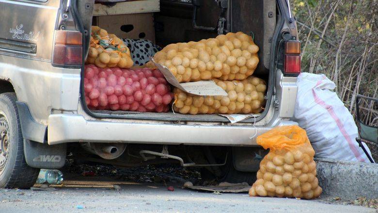 В Тюмени саженцы продают онлайн