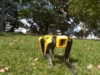 В Сингапуре в парке появился патрульный робот-пес, обеспечивающий соблюдение правил дистанцирования