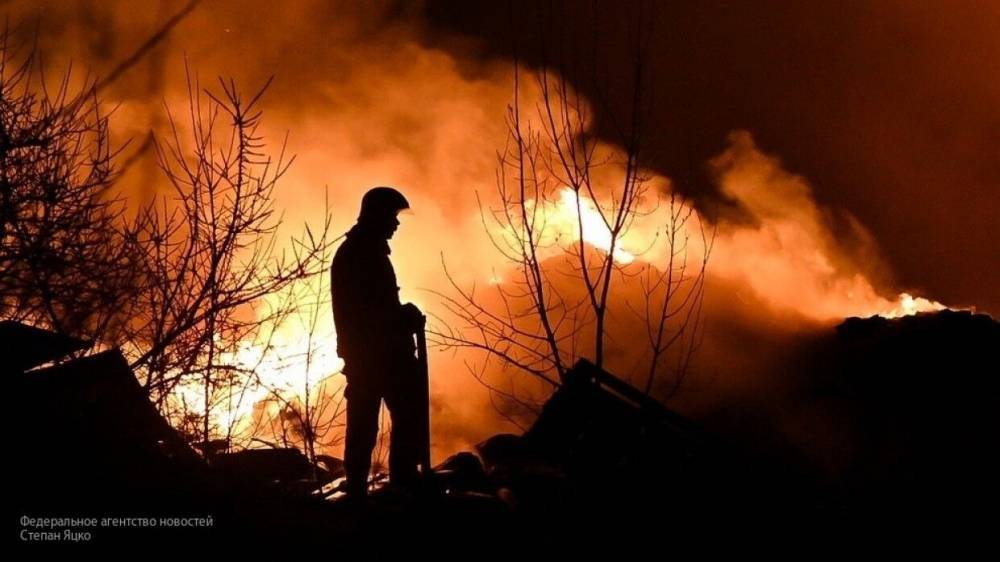 МЧС тушит пожар на территории 15 га в удмуртском селе Пугачево