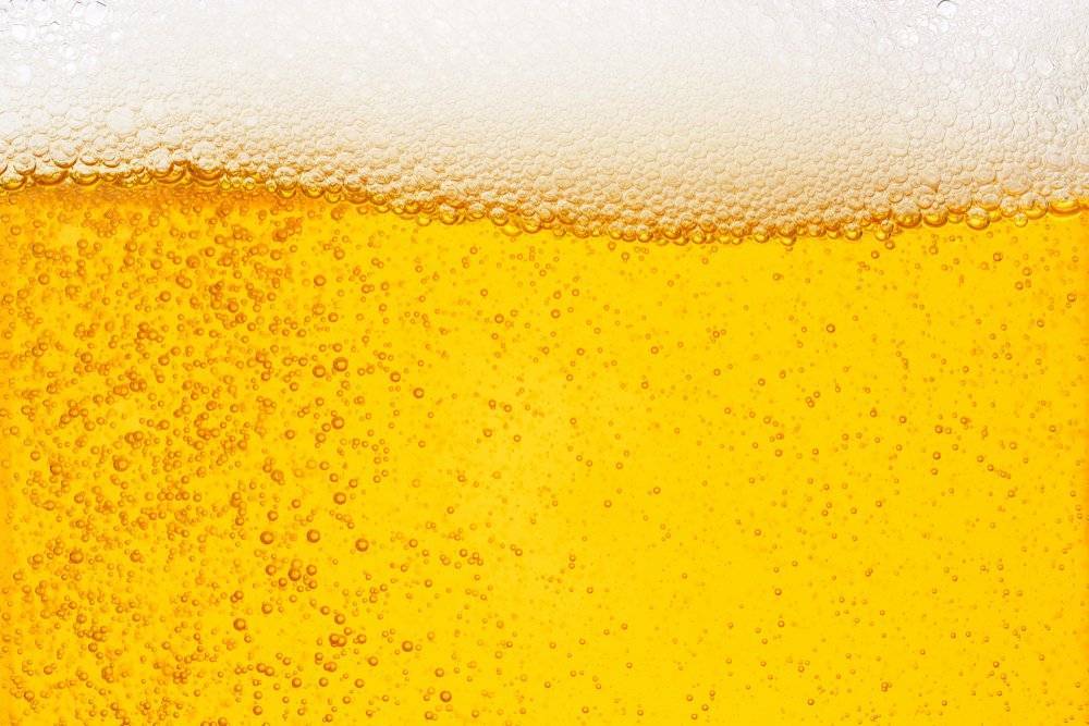 6 веков выдержки: самое старое пиво в мире нашли в Германии