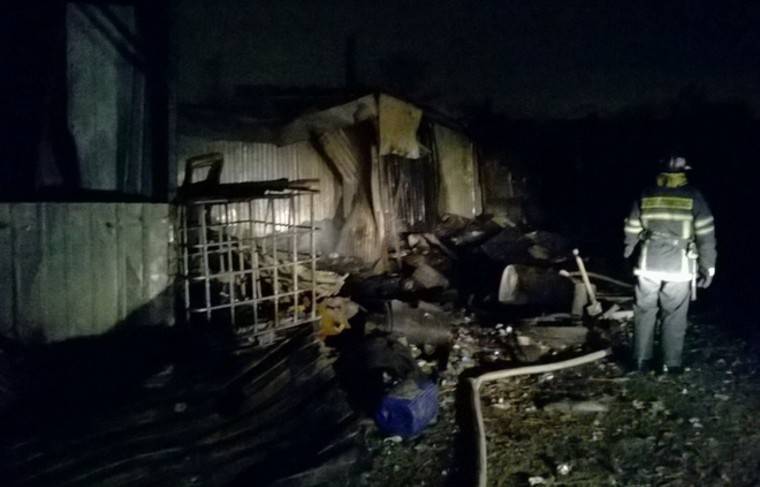 Десять человек погибли на пожаре в хосписе в Красногорске