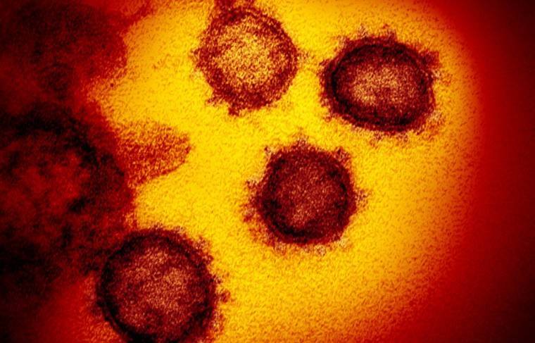 Число умерших от коронавируса в США превысило 80 тысяч