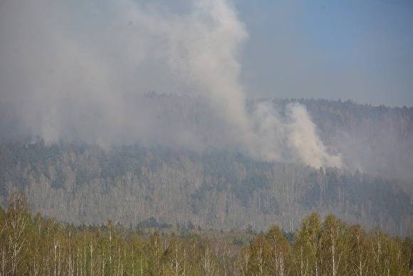 В Ильменском заповеднике сгорело 135 гектаров леса