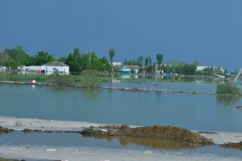 В Казахстане оценили ущерб сельскому хозяйству от наводнения из-за прорыва дамбы Сардобинского водохранилища. Пока это 9,5 млн долларов