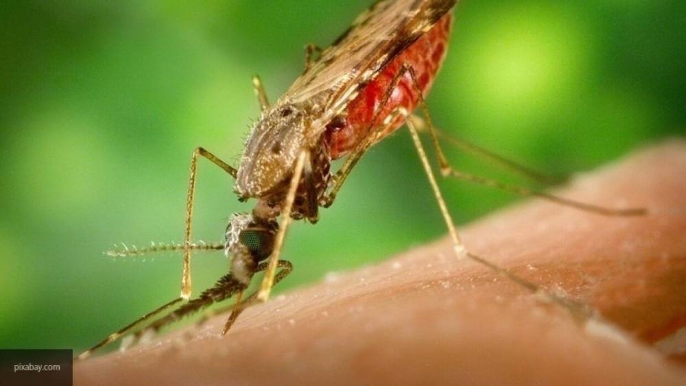 Ученые применили навыки комаров для создания летающего дрона ночью