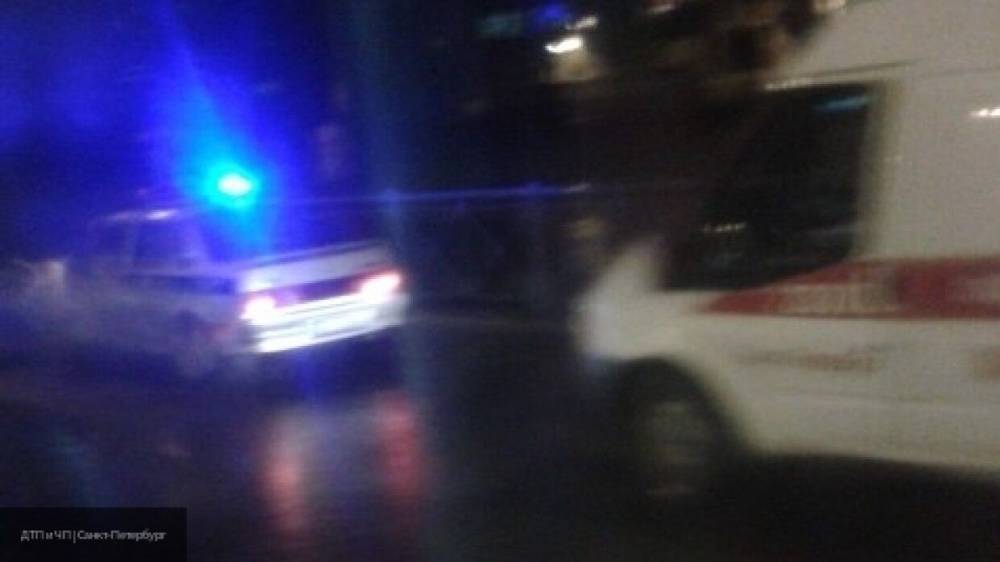 Водитель сбил насмерть пешехода ночью в Ленобласти
