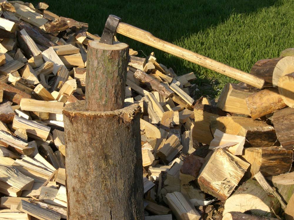 Госдума намерена пресечь нецелевое использование дров в российских деревнях
