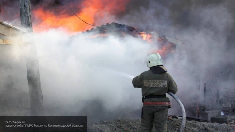 Крупный пожар на птицефабрике под Челябинском потушен