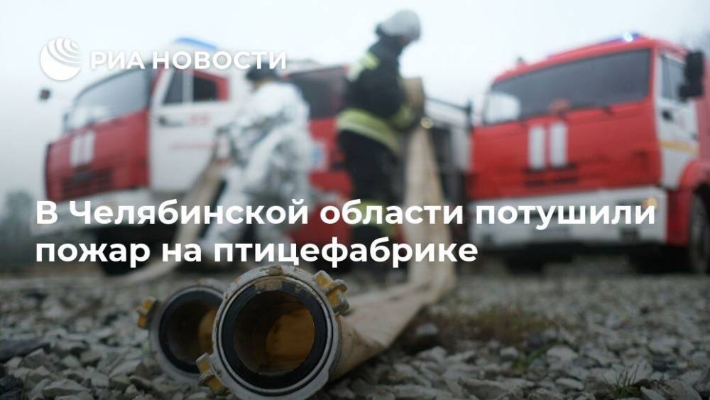 В Челябинской области потушили пожар на птицефабрике