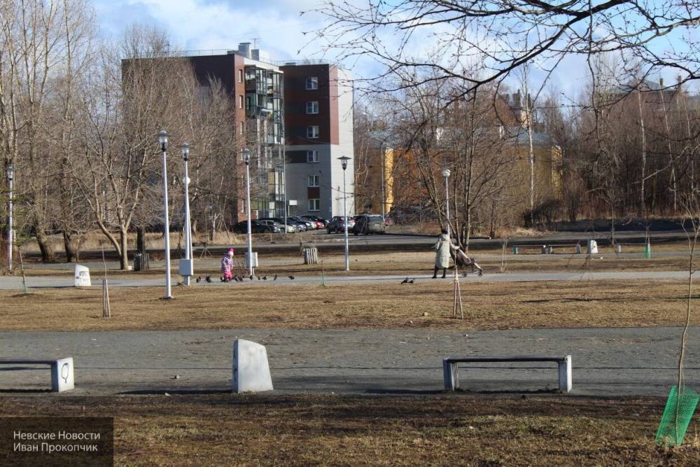 Власти Тульской области разрешили жителям региона гулять в парках и заниматься спортом