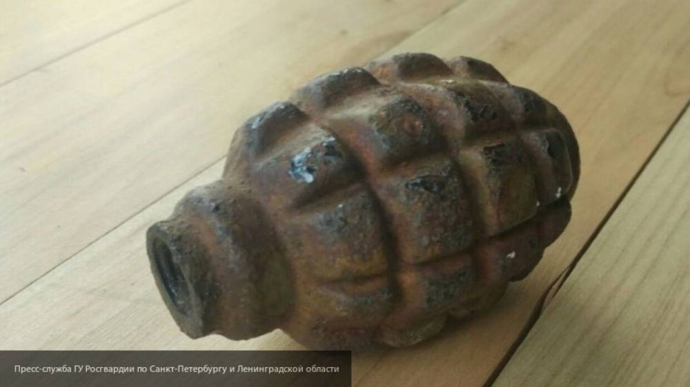 Шумная компания пострадала из-за взрыва гранаты в Ставропольском крае