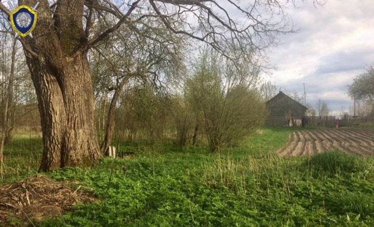 В Беларуси мужчина с племянницей отравились цикутой и погибли. Страшно ядовитый корнеплод принес в дом дядя, думая, что он съедобный