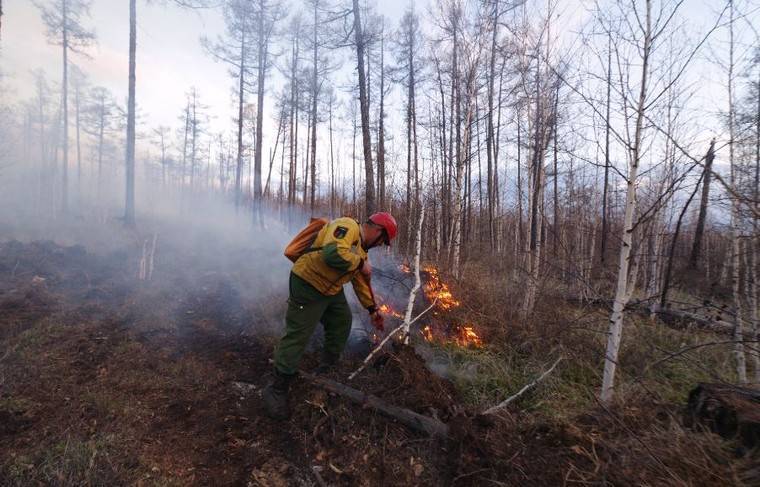 За неделю в РФ потушено более 620 лесных пожаров