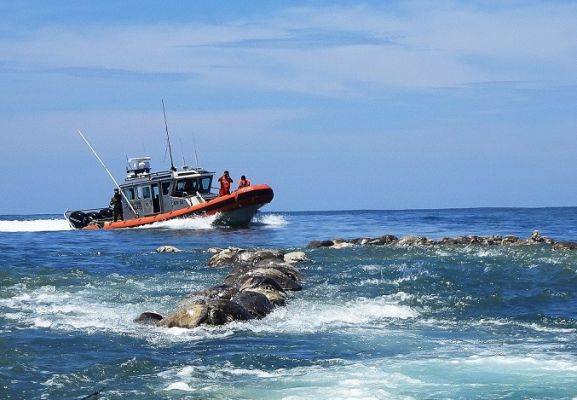 Пропавшего украинского моряка нашли мертвым мексиканские рыбаки