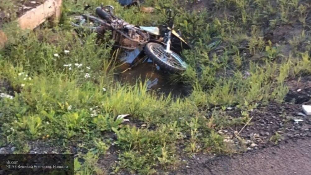 Несовершеннолетний мотоциклист врезался в дерево и умер под Ростовом