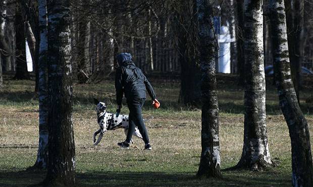 Москвичам могут разрешить занятия спортом и прогулки в парке