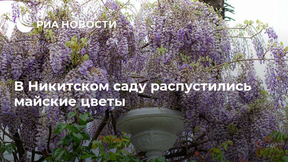 В Никитском саду распустились майские цветы