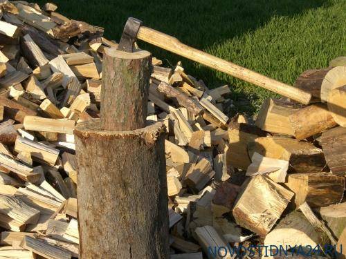 Госдума намерена пресечь нецелевое использование дров в российских деревнях
