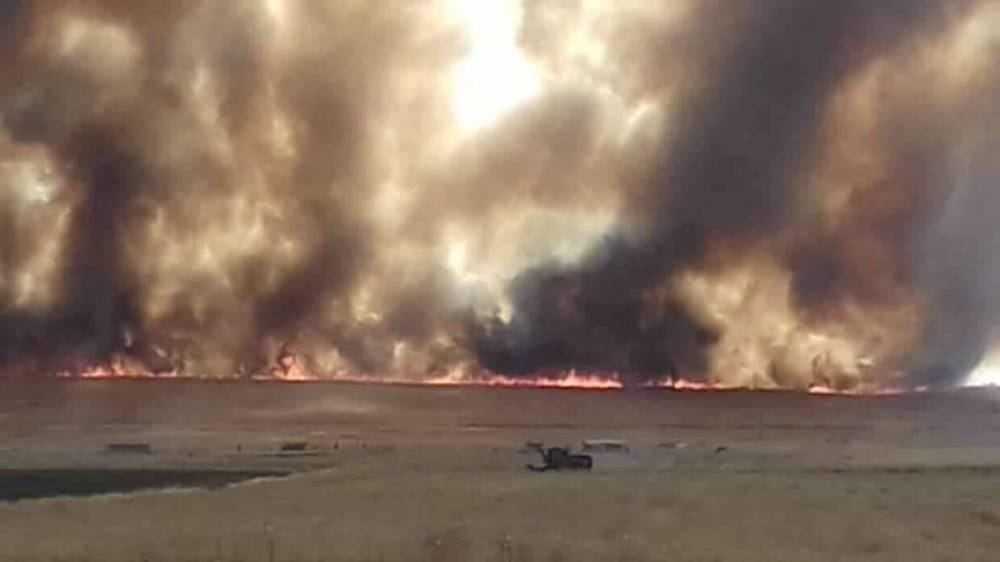 Ахмад Марзук (Ahmad Marzouq) - Сирия новости 11 мая 16.30: обстрелы союзников Турции привели к пожару на севере Ракки, чиновники SDF бегут в Турцию - riafan.ru - Сирия - Турция - Айн-Исса