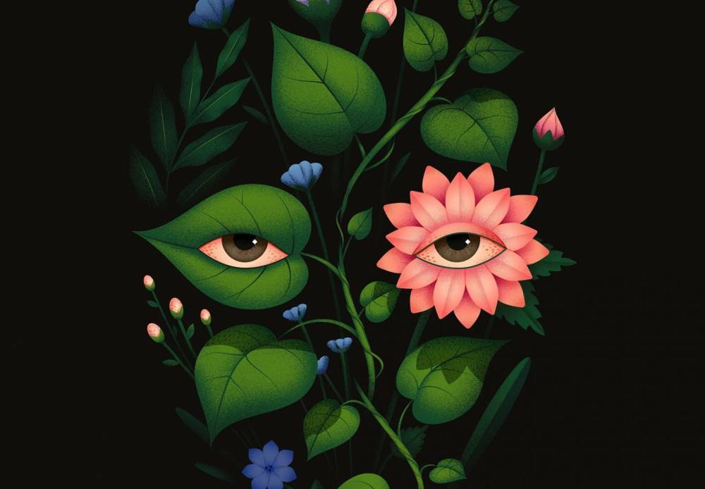 Глаза в цвету: работы тбилисской художницы попали на международный сайт Colossal