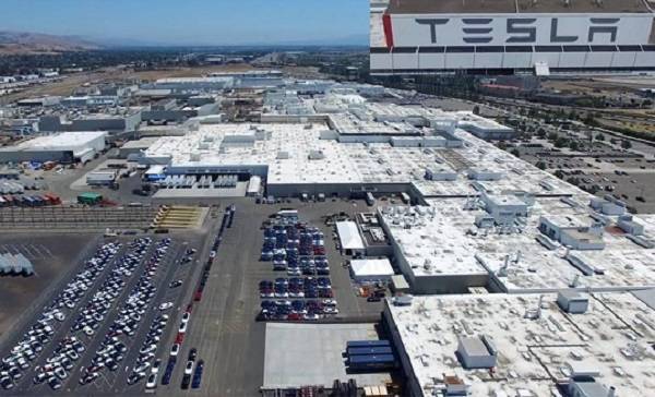 Маск возобновил работу завода Tesla в Калифорнии, несмотря на запрет