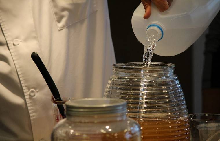 Кремлёвский врач посоветовала пить чайный гриб во время пандемии