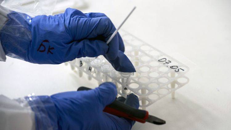 Почему тесты на коронавирус дают ошибки - оценка биолога