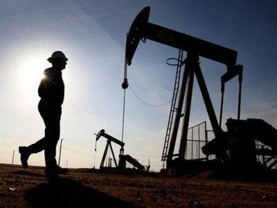 Цена на нефть марки Brent выросла до 29,78 доллара за баррель