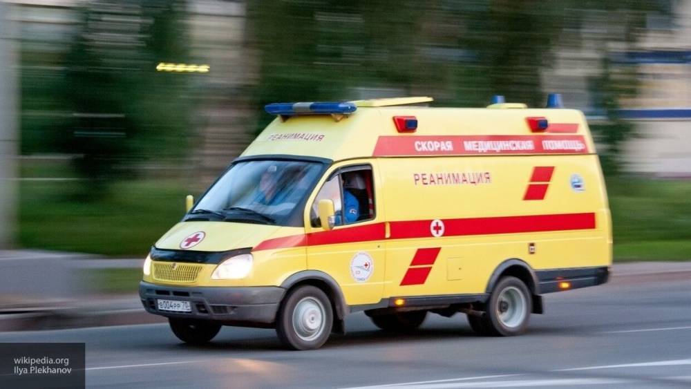 Несовершеннолетний водитель микроавтобуса погиб в ДТП под Петербургом